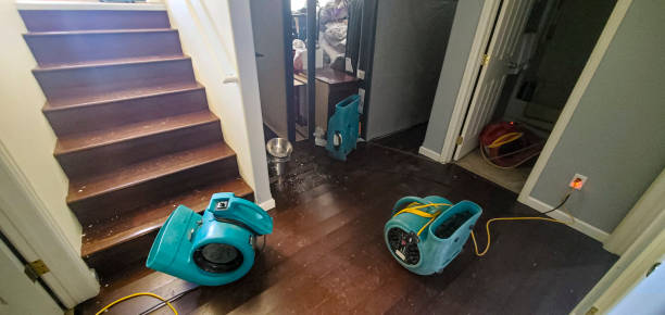 Best Flood damage cleanup  in Madisonville, KY
