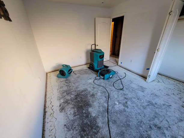 Best Basement water damage restoration  in Madisonville, KY