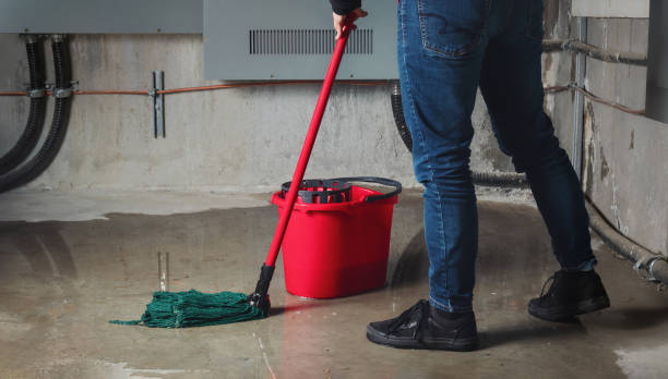 Reliable KY Water damage restoration Solutions
