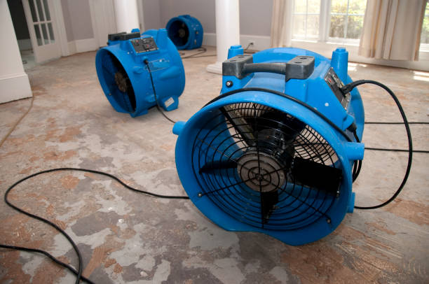 Best Professional water damage repair  in Madisonville, KY