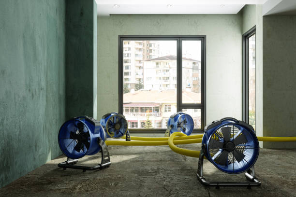 Best 24-hour water damage restoration  in Madisonville, KY